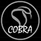 Cobra film doo Beograd