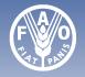 FAO / Organizacija za hranu i poljoprivredu pri UN Italy